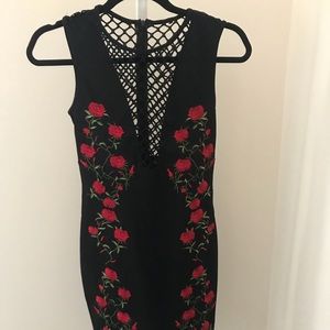 Brand new LF mesh rose dress